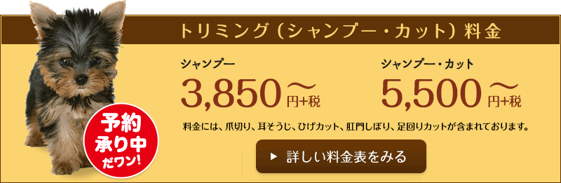 トリミング（シャンプー・カット料金）